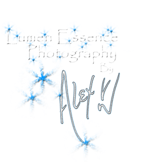 Lumen Essence Photography